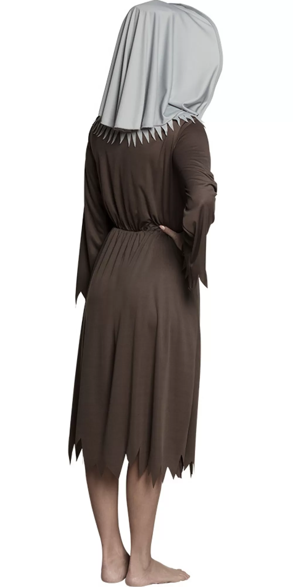 Sister Spirit Kostuum Dames Bruin/Grijs Maat 40/42 (M)^Boland Online