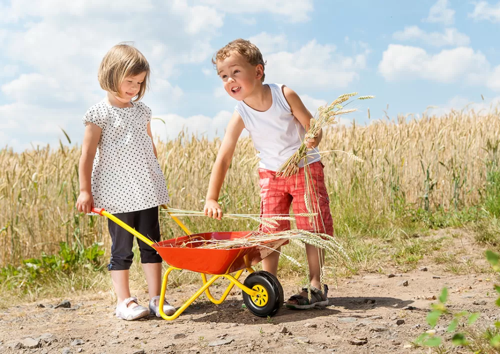 Kruiwagen Metaal Junior Rood^Rolly Toys Clearance