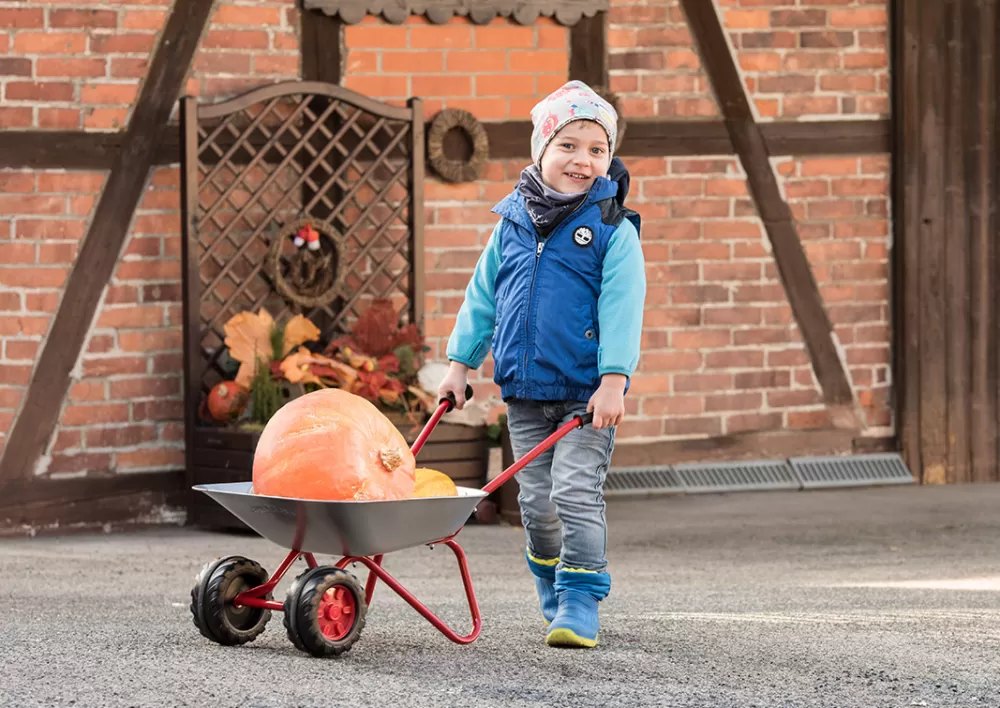 Stalen Kruiwagen Junior Zilver/Rood^Rolly Toys Best